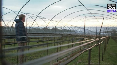 Solariile fermierilor scoțieni îi așteaptă pe muncitorii sezonieri din România și Bulgaria