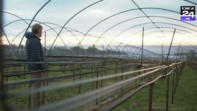 Solariile fermierilor scoțieni îi așteaptă pe muncitorii sezonieri din România și Bulgaria