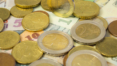 monede euro leu
