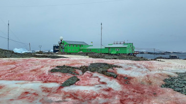 Zăpada dintr-o regiune din Antarctica a devenit roșie. Cum afectează mediul înconjurător