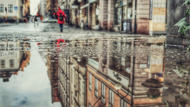 Reflection in a puddle