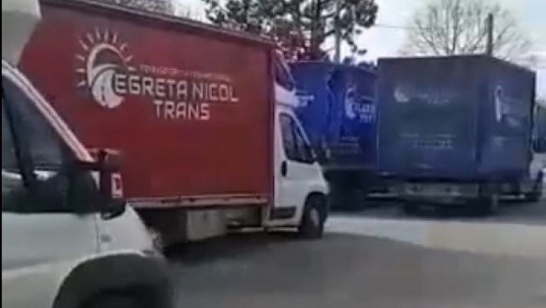 camioane