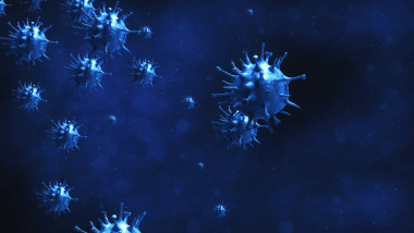 Microscopic view of influenza virus cells