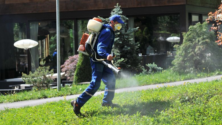 Actiune de dezinsectie care are ca scop principal eliminarea capuselor, in parcul "Livada Postei"din Brasov.