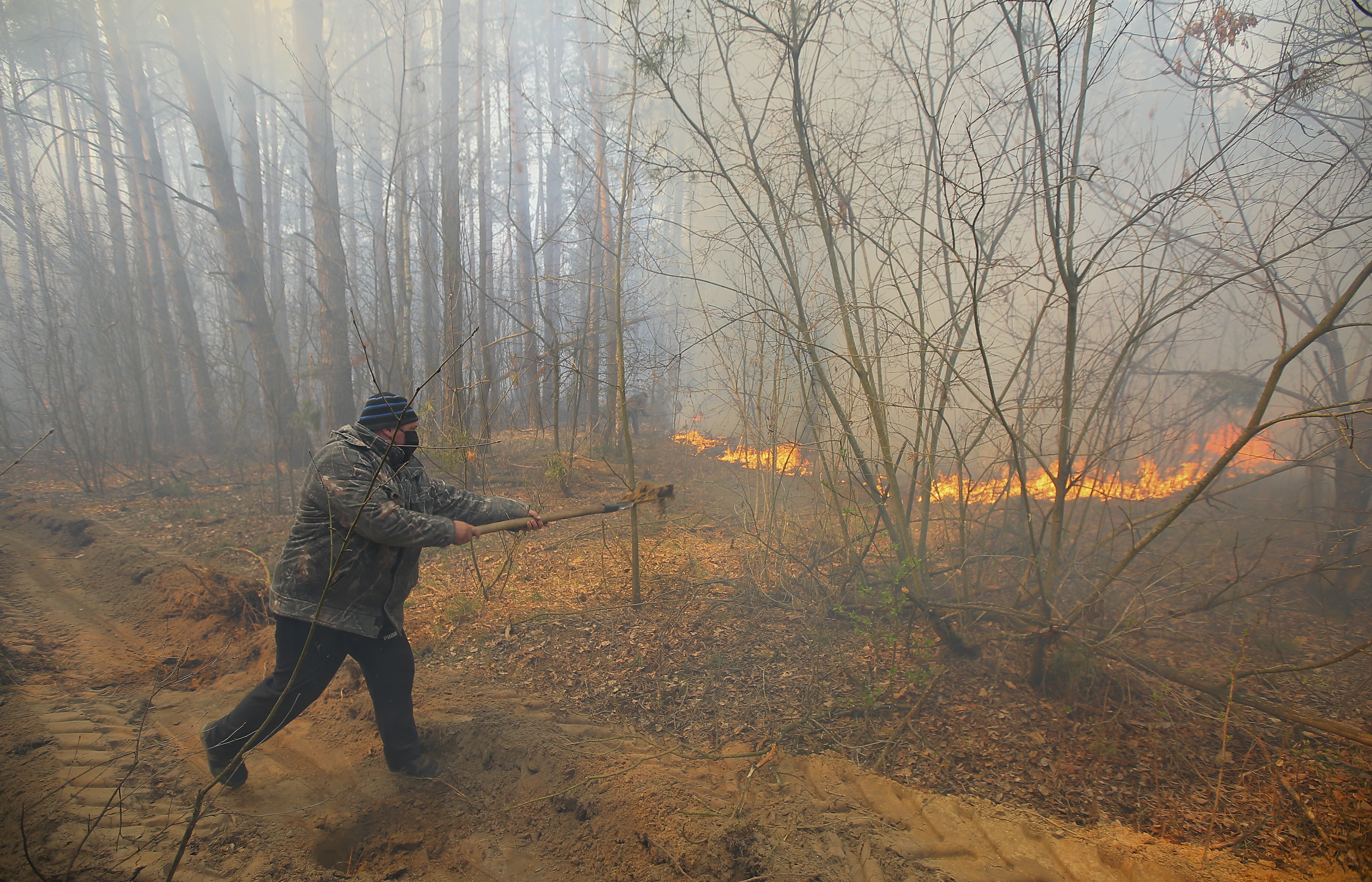 Incendiile de pădure la Cernobîl continuă de mai mult de o săptămână