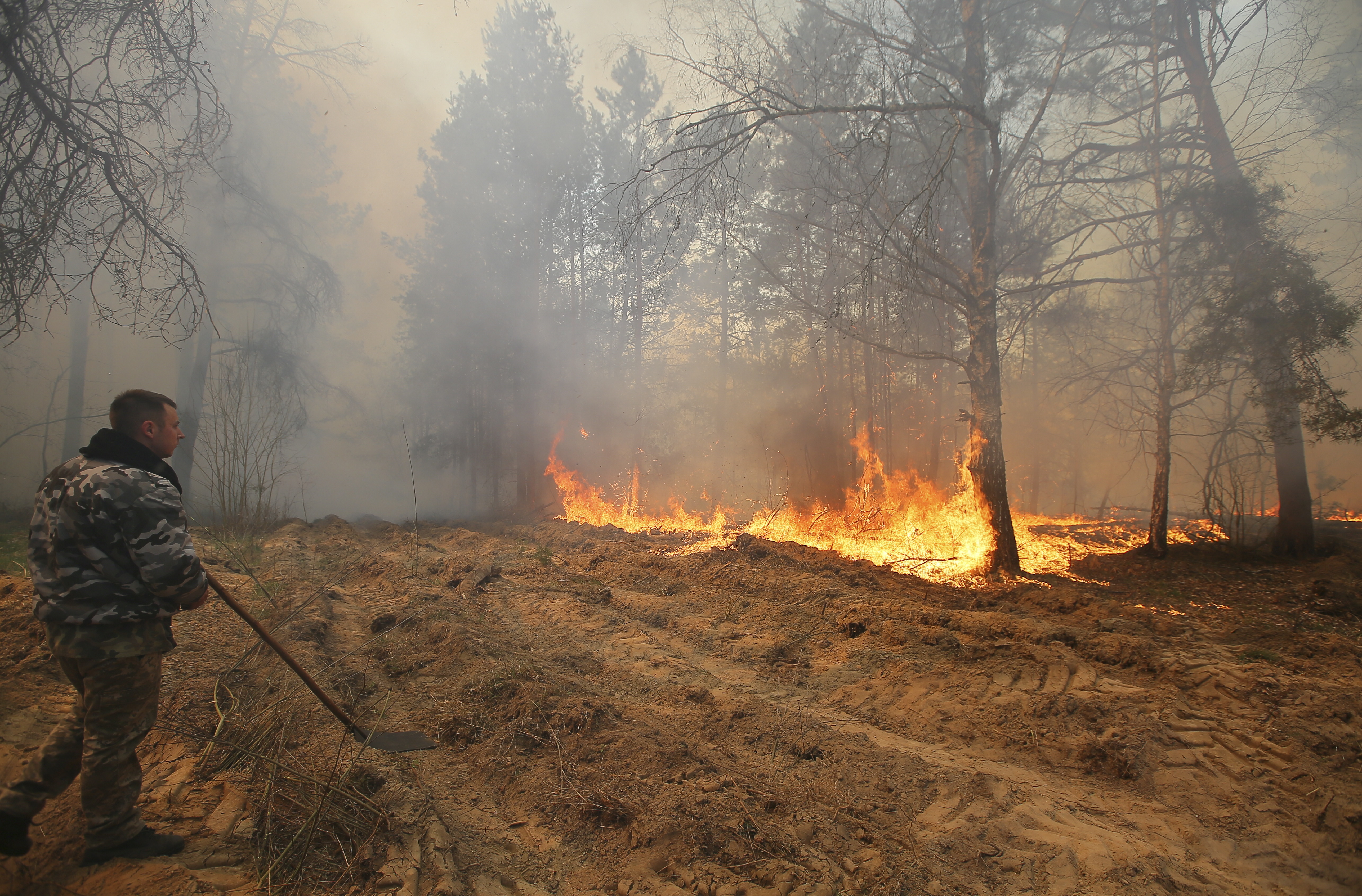 Incendiile de pădure la Cernobîl continuă de mai mult de o săptămână