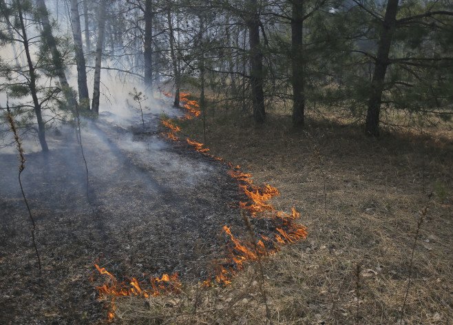 Incendiile de pădure la Cernobîl continuă de mai mult de o săptămână