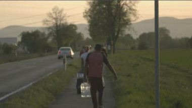 Muncitorii români la o fermă din Germania merg să-și cumpere produse mai ieftine de la supermarket