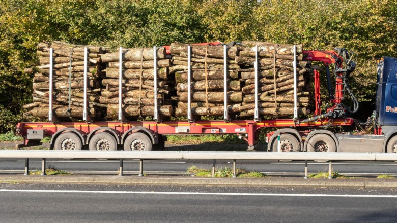 transport de lemn cu autotrenul pe sosea