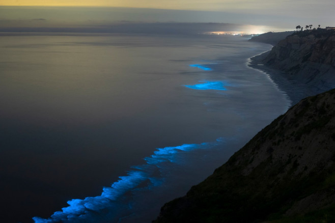 Valurile bioluminiscente din sudul Californiei