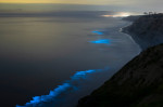 Valurile bioluminiscente din sudul Californiei