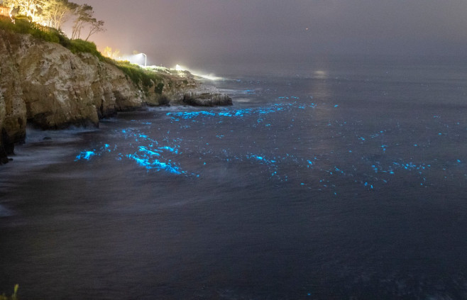 Valurile bioluminiscente din sudul Californiei