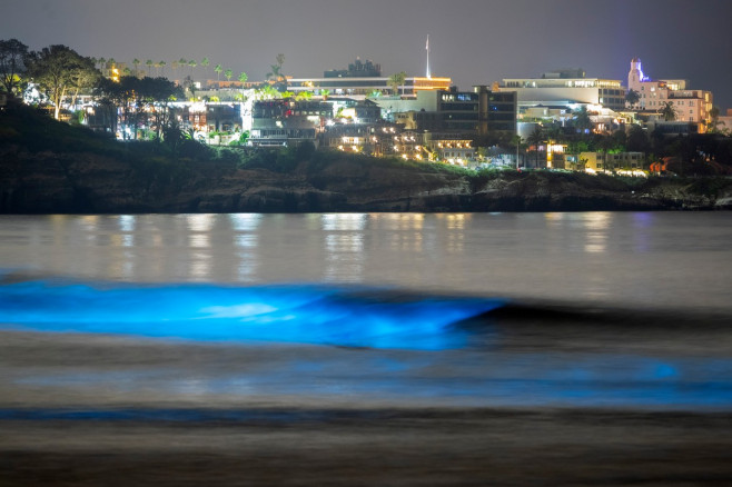 Valurile bioluminiscente din sudul Californiei