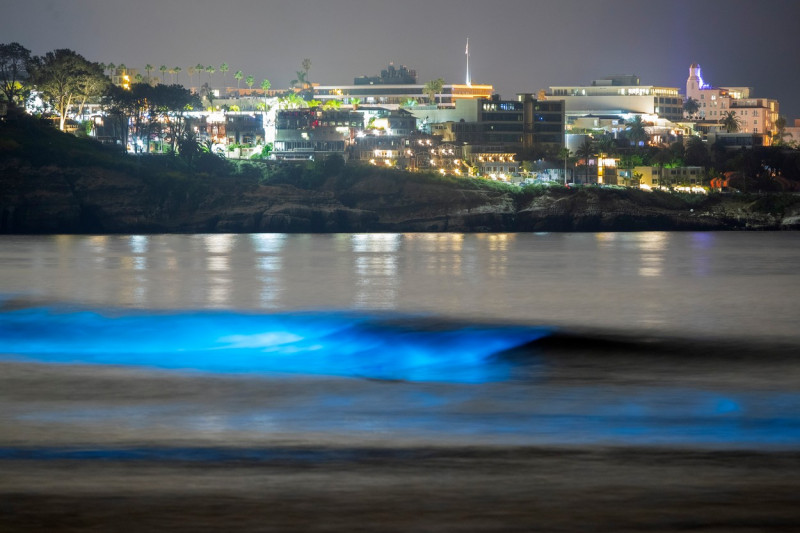 Valurile bioluminiscente din sudul Californiei