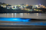 Valurile bioluminiscente din sudul Californiei