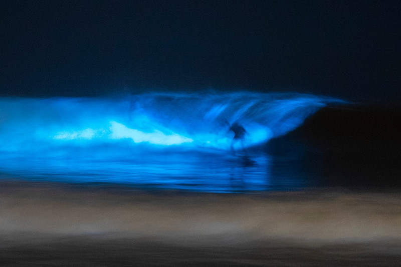 Valurile bioluminiscente din sudul Californiei