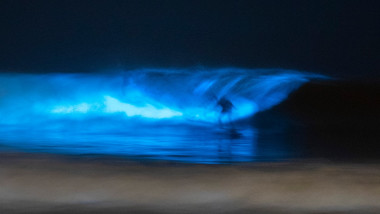 Valurile bioluminiscente din sudul Californiei