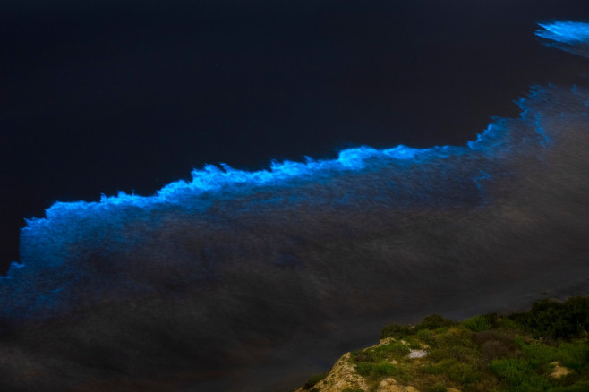 Valurile bioluminiscente din sudul Californiei