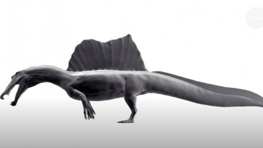 dinozaur-inotator-Spinosaurus-aegyptiacus