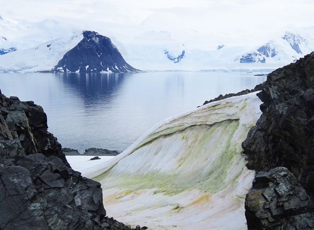 zapada verde, antarctica