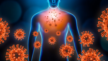 corpul uman atacat de coronavirus