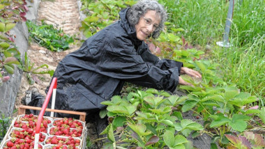 O jurnalistă germană s-a angajat la o fermă de căpșuni unde lucrează români