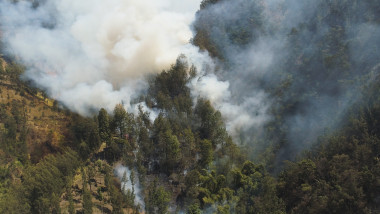 Padurea din Indonezia a dost devastata de incendii