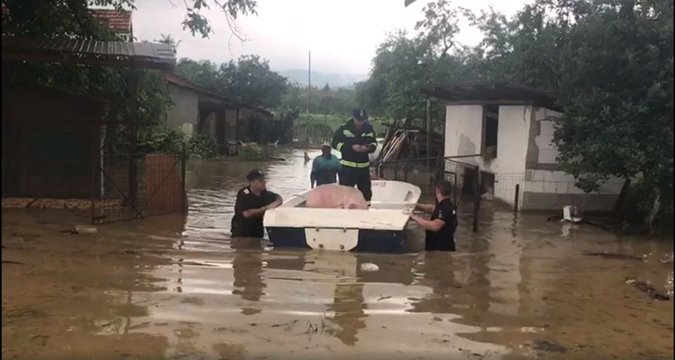 inundatii timis caras severin