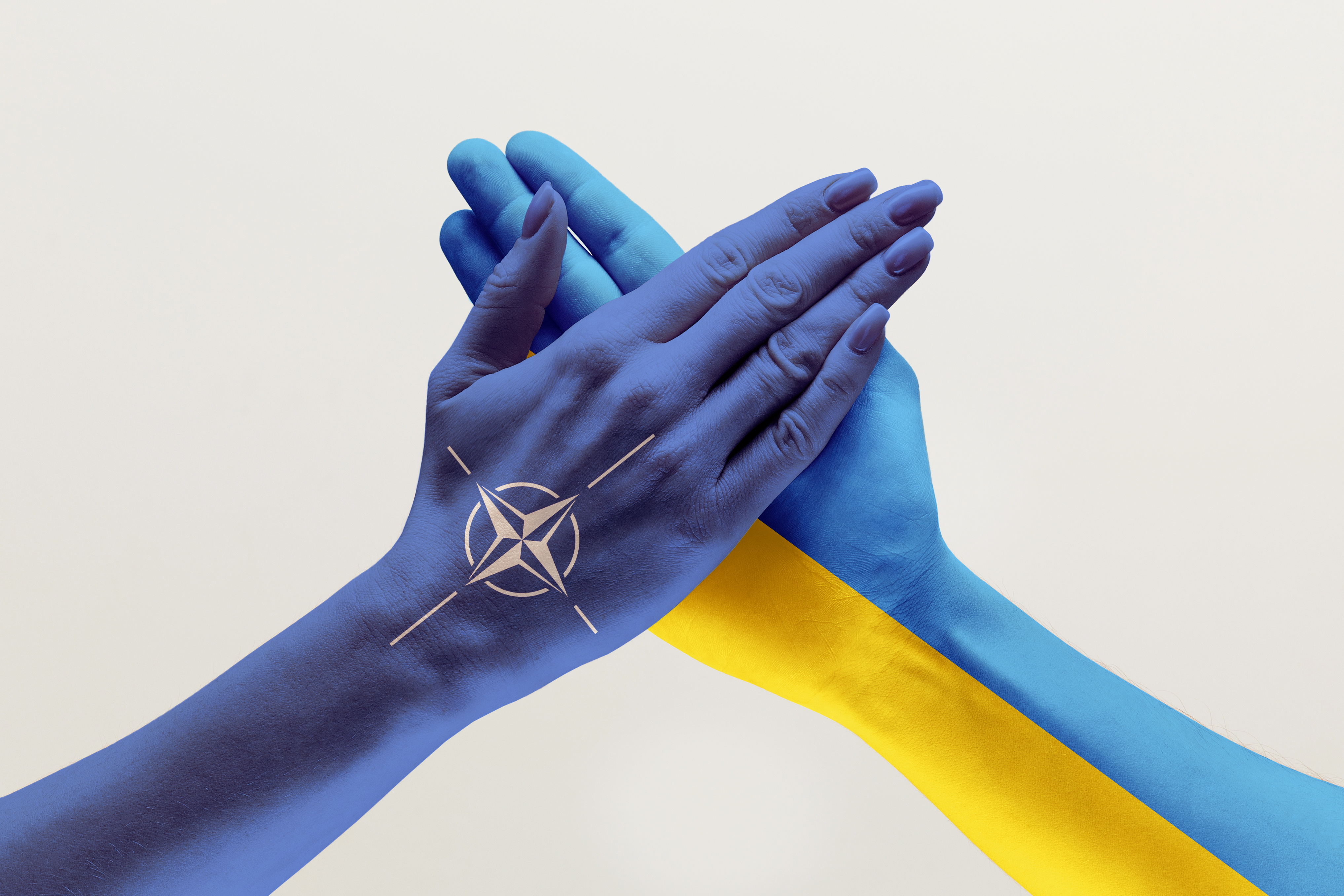 Zelenski, despre aderarea Ucrainei la NATO: "Mergem spre această direcţie. Sunt sigur că vom implementa acest proiect"