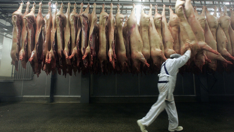 MANNHEIM, GERMANY - DECEMBER 15: A butcher handles slaughtered pigs at a state of the art slaughterhouse on December 15, 2005 in Mannheim, Germany. Despite the high standards of meat processing a few packagers have been accused of selling tons of expired meat repackaged. (Photo by Ralph Orlowski/Getty Images)