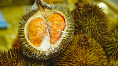 Fructul de durian este foarte popular in Asia