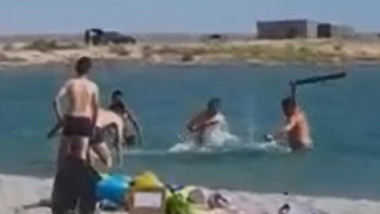 turisti in apa care ataca o foca