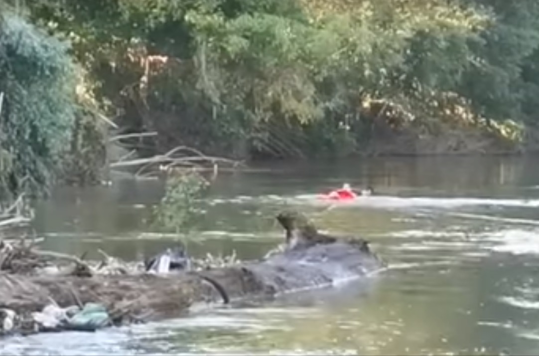 VIDEO Copil salvat în ultima clipă de la înec