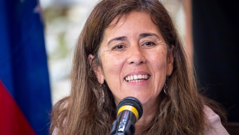 Isabel Brilhante Pedrosa, ambasadoarea UE la Caracas