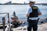 "Pește rasist". Celebra statuie "Mica Sirenă" din Copenhaga a fost vandalizată
