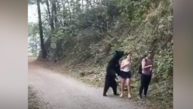 Urs în două picioare în apropierea unei turiste în parcul Chipinque din Mexic