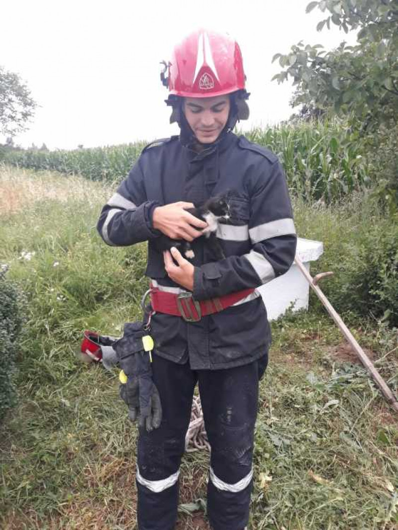 O pisică a fost salvată de pompierii din Botoșani dintr-o fântână adâncă de 13 metri