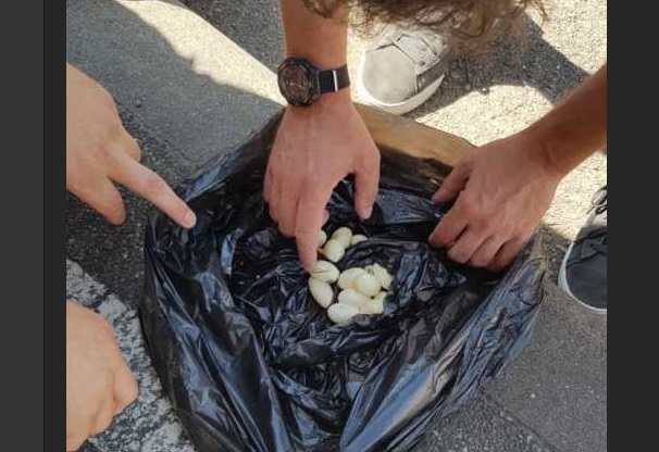Un sarpe si-a depus ouale intre motorul si caroseria unei masini din Resita