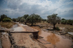 inundatii grecia profimedia-0551142291