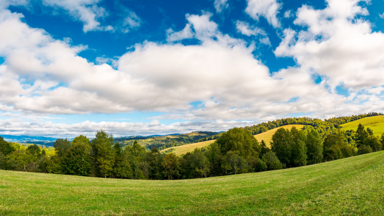 panorama of beautiful autumn countryside. forest row of trees on the grassy meadow. gorgeous sky above the distant rolling hills. wonderful september day for a walk or hike