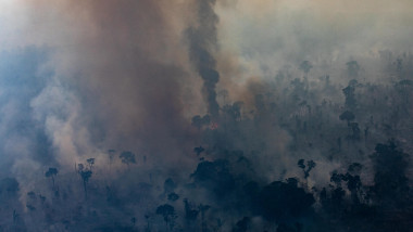 Incendii în pădurea amazoniană