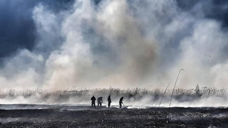 Un nou incendiu de proporții în Periș, unde ard zece hectare la batalurile unei foste ferme de porci. Oamenii, avertizați prin RO-ALERT