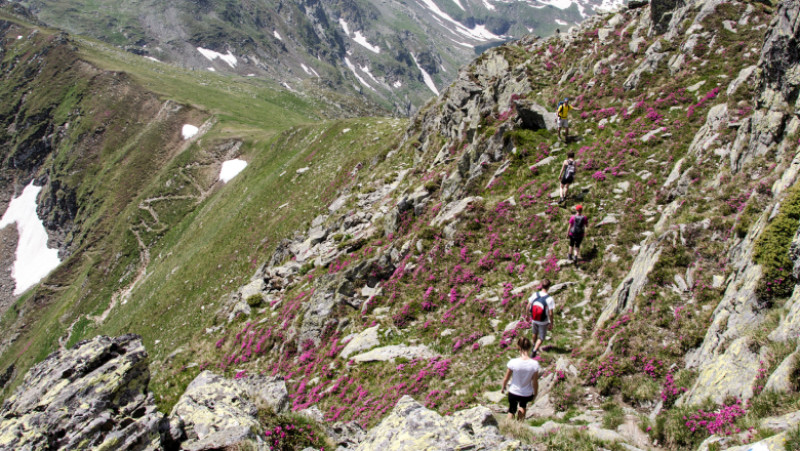 Balea_Transfagarasan (c) Marius Miclea (163) (002)