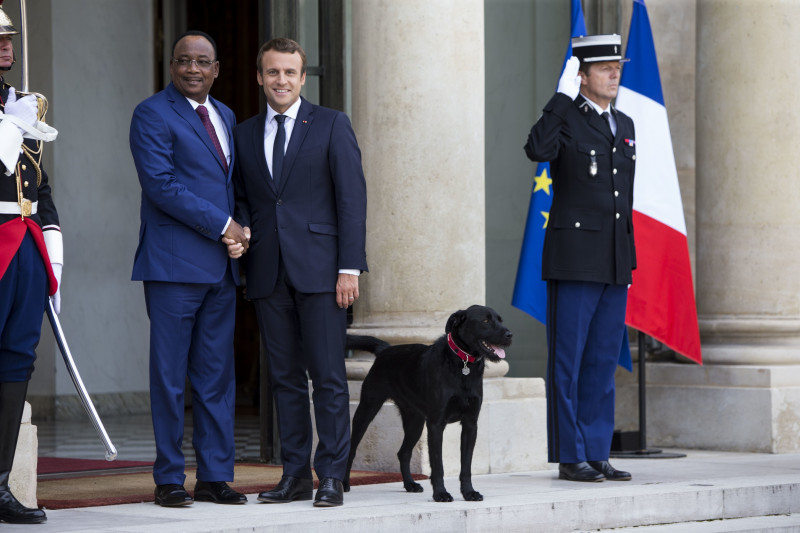Nemo, câinele lui Emmanuel Macron, pe treptele palatului Elysee