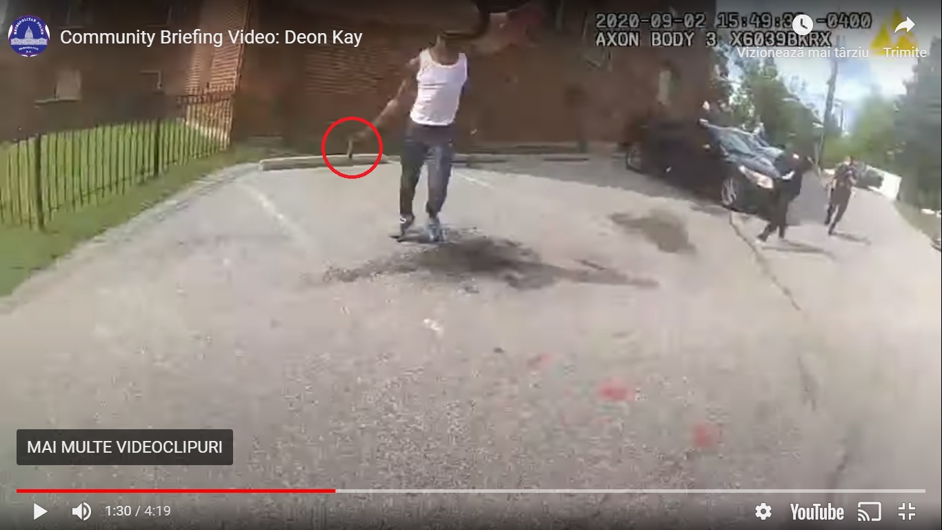 pistol0