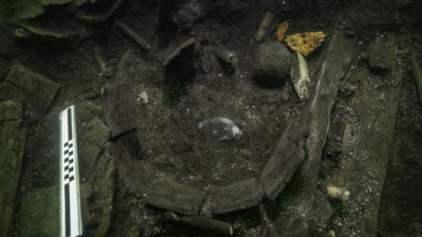 Cadavrul unui sturion atlantic, vechi de 500 de ani, găsit în epava unei nave regale daneze