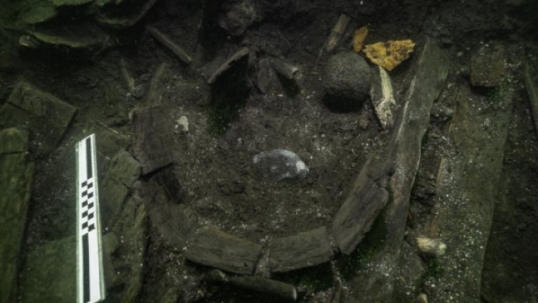 Cadavrul unui sturion atlantic, vechi de 500 de ani, găsit în epava unei nave regale daneze