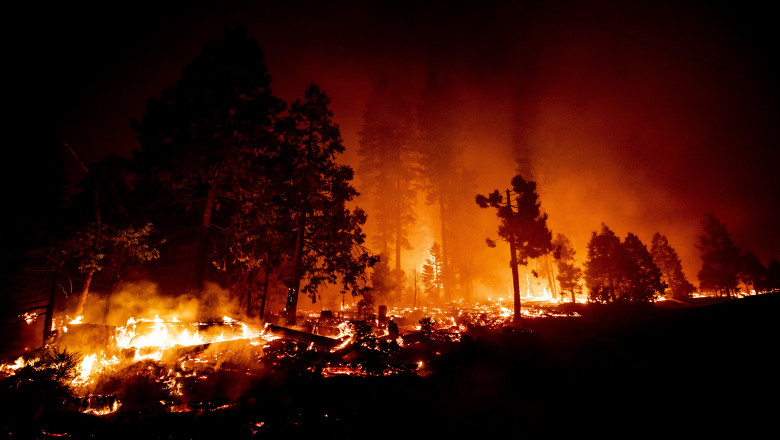 Incendiile de vegetație din California au distrus o suprafata record