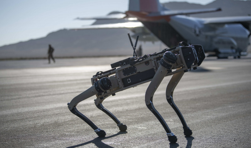 caine robot armata sua soldati militari