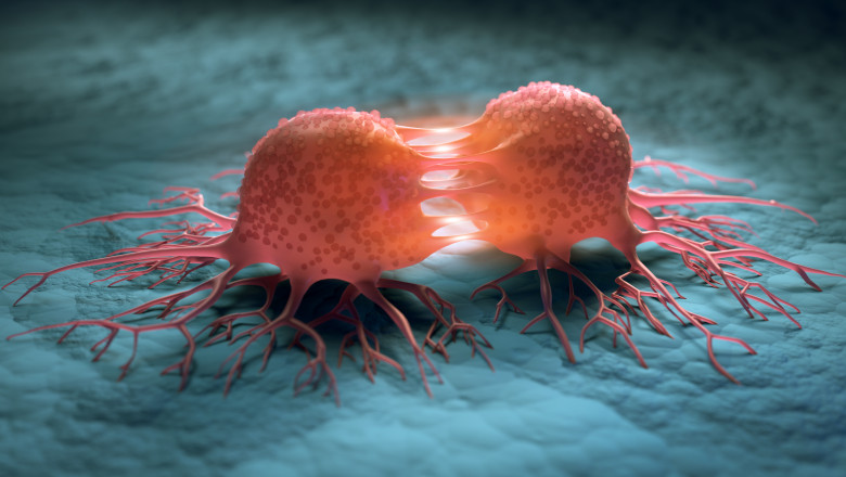 celule canceroase care se reproduc